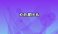 心衣是什么