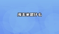 海玉米是什么