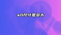 a0尺寸是多大