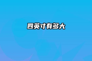 四英寸有多大
