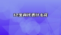 12生肖代表什么花