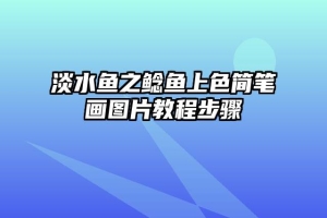 淡水鱼之鲶鱼上色简笔画图片教程步骤