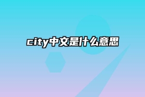 city中文是什么意思