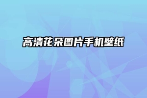 高清花朵图片手机壁纸