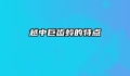 越中巨齿蛉的特点