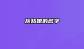 灰姑娘的名字