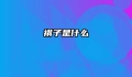 褙子是什么