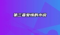 第三者爱情的小说