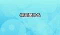 特签是什么