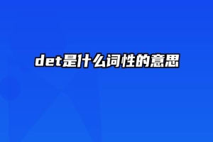 det是什么词性的意思
