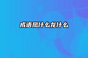 成语凤什么龙什么