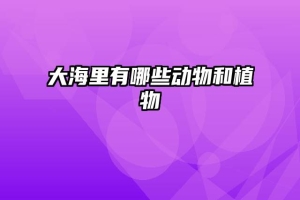大海里有哪些动物和植物