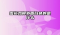 雪花鸡柳外面白色的是什么