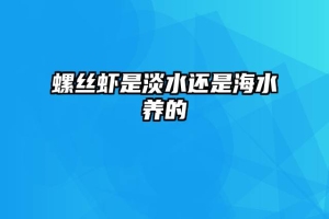 螺丝虾是淡水还是海水养的