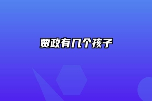 贾政有几个孩子