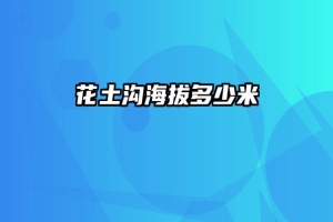 花土沟海拔多少米