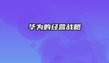 华为的经营战略