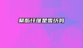 聚酯纤维是雪纺吗