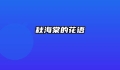 秋海棠的花语