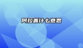 阿拉善什么意思