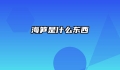海笋是什么东西