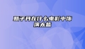 甄子丹在什么电影中饰演太监