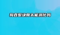 狗吞整块骨头能消化吗