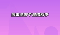 泊来品哪个是错别字