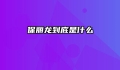 保丽龙到底是什么
