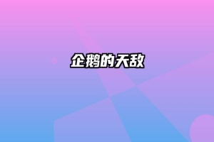 企鹅的天敌