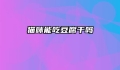 猫咪能吃豆腐干吗