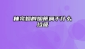 抽完烟的烟蒂属于什么垃圾