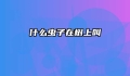 什么虫子在树上叫