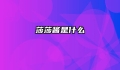 莎莎酱是什么