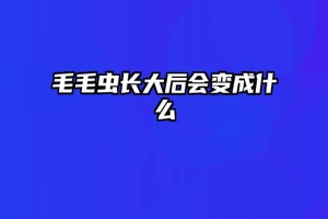 毛毛虫长大后会变成什么
